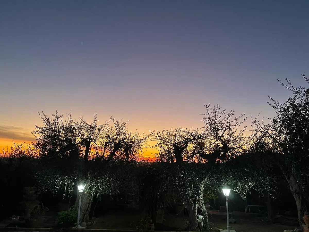 Agrihome Di Alberto Giuseppe Gulotta - Bella Vista B&B - Chalet Marinaresco Massarosa