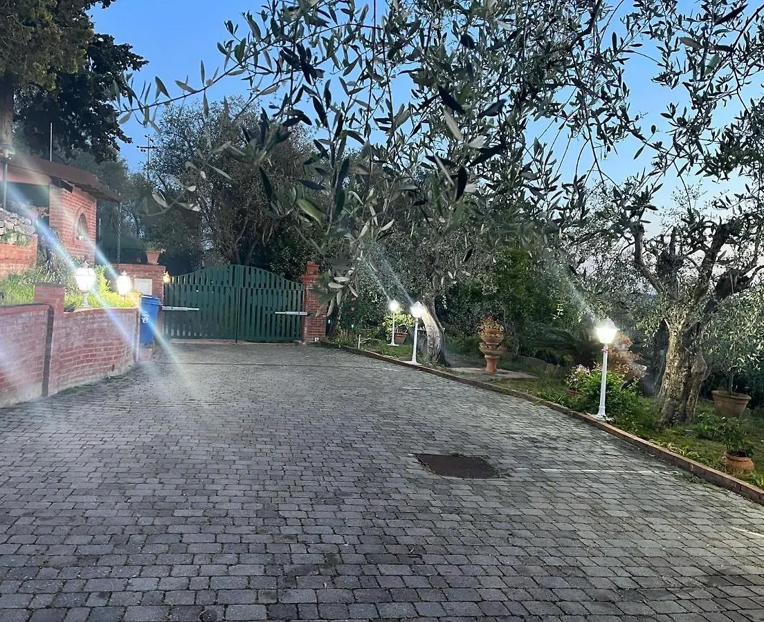 Agrihome Di Alberto Giuseppe Gulotta - Bella Vista B&B - Chalet Marinaresco Massarosa Apartment
