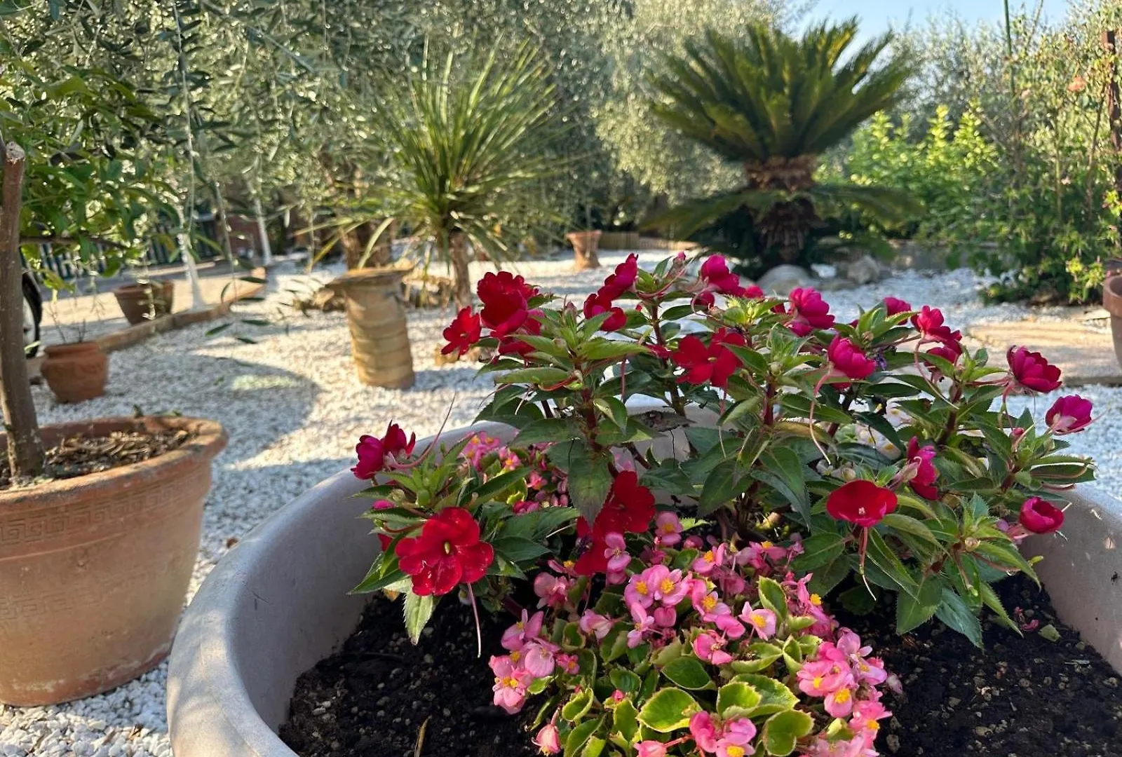 Agrihome Di Alberto Giuseppe Gulotta - Bella Vista B&B - Chalet Marinaresco Massarosa 0*,