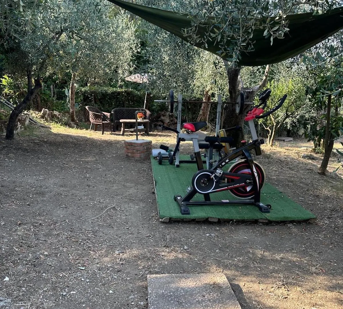 Agrihome Di Alberto Giuseppe Gulotta - Bella Vista B&B - Chalet Marinaresco Massarosa Italy