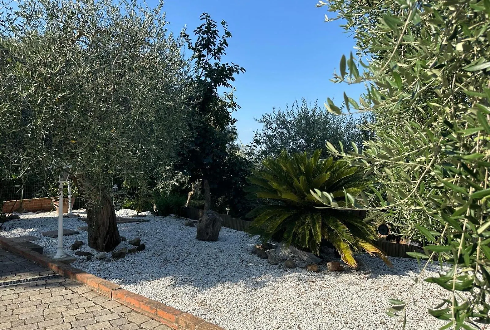 Agrihome Di Alberto Giuseppe Gulotta - Bella Vista B&B - Chalet Marinaresco Massarosa Italy
